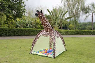 The Road to Defqon.1: Zo kom je het weekend soepel